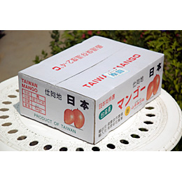 台湾アップルマンゴー2.5kg