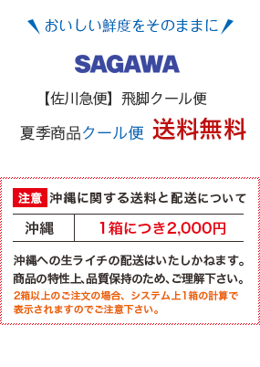おいしい鮮度をそのままに 佐川急便 飛脚クール便 夏季商品クール便送料無料。注意: 沖縄は1箱につき2,000円。沖縄への生ライチの配送はいたしかねます。