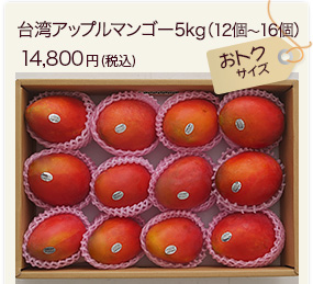 台湾マンゴー5kg